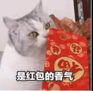 开工第一天要猪圆玉润,更要元气满满
