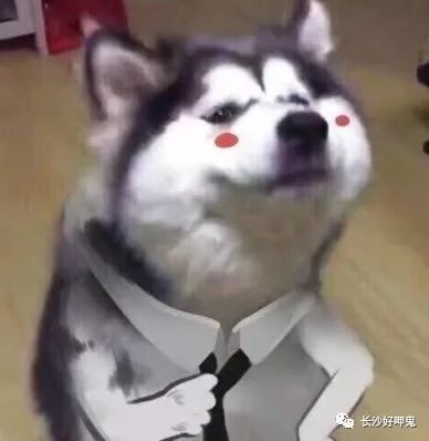 懒人症患者福利国网电力为你送上宅家宝典