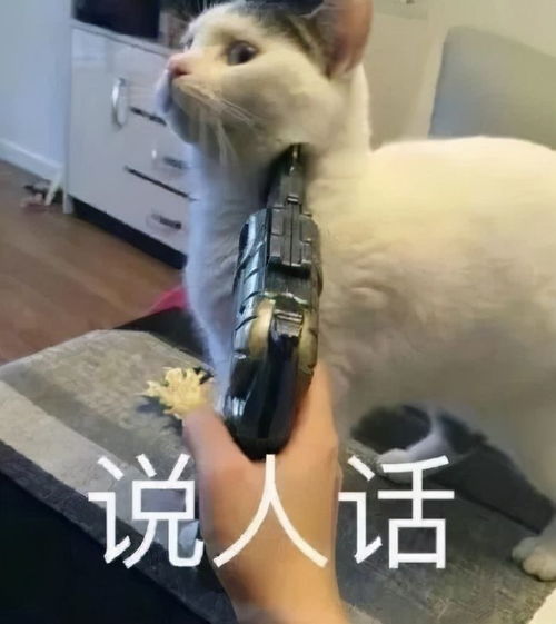 带你认识全世界最难防御的hacker攻击手段ddos快餐店ddos用餐点餐网易订阅