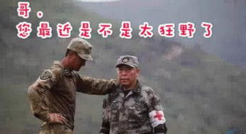 谢楠制作吴京威胁苏大强表情包,配文太搞笑,网友笑到肚子疼