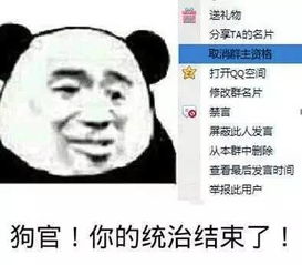 给你一次重新组织语言的机会