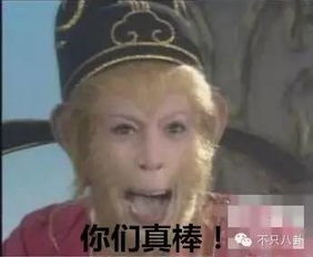 六小龄童节目被毙引发20万人抗议西游记30年来教会我们了10件事
