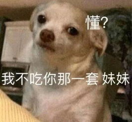 搞笑表情包我觉得我自己就是一个受气包
