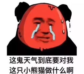 28岳西一秒入夏,接下来全是雨雨雨更悲催的是...