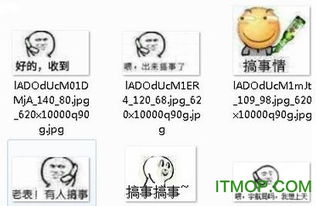 出来搞事了表情包官方下载