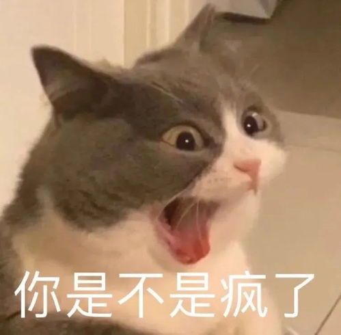 可爱又沙雕的表情包来了快来收藏吧
