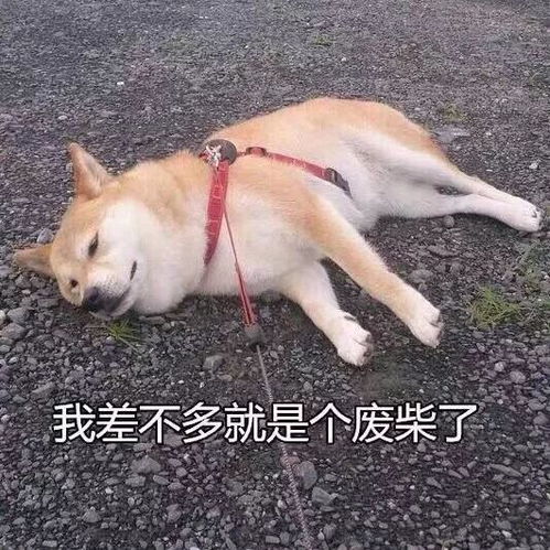 新年免费福利第三波送给你今年第一份催泪情书