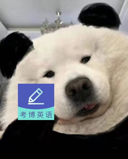 考博英语如何备考备考资料和app