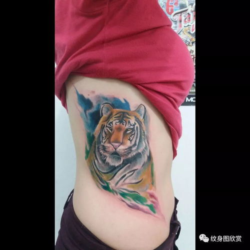 动物纹身老虎纹身图片
