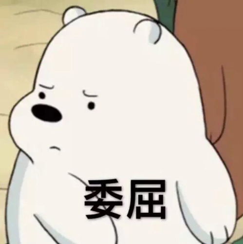 加拿大滑铁卢大学一直top1,一直被误解