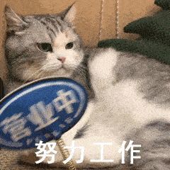 有哪些极为魔性的朋友圈沙雕文案