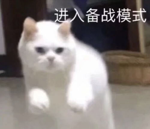 搞笑表情包来啦