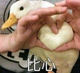 搞笑斗图表情包39张请问,我可以成为你的网上邻居吗