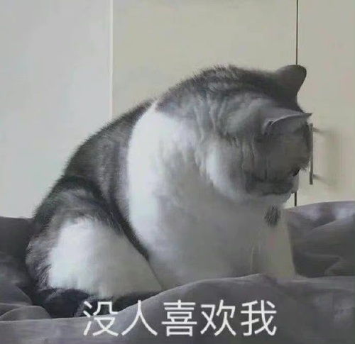 值得收藏