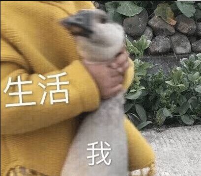 巨沙雕超级搞笑表情包借我
