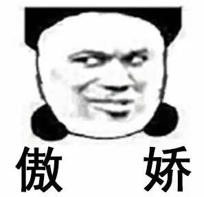 骄傲表情包