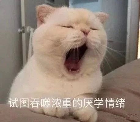 搞笑可爱,最新热门表情包图片大全