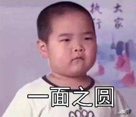 眼前车型千千万,手中钞票却有限,汽车小白怎么选车