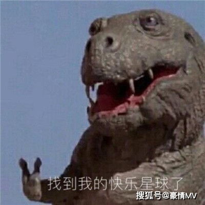 很有意思的表情包聊天有趣的斗图表情图片