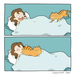 鉴定︱9张漫画再现猫奴生活,这是你吗