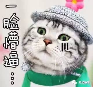 喂,110吗我碰掉了车牌上的数字,要赔吗