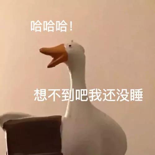 搞笑表情包诶诶诶