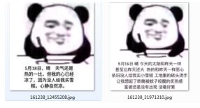 最新更新内容52pk下载中心提供好玩的中文游戏软件下载