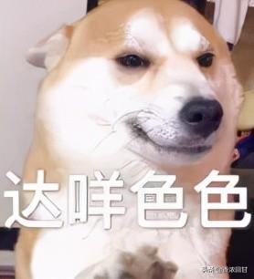 科学家是怎么取蛛丝的