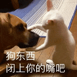 一大波微信表情包来袭,请接稳
