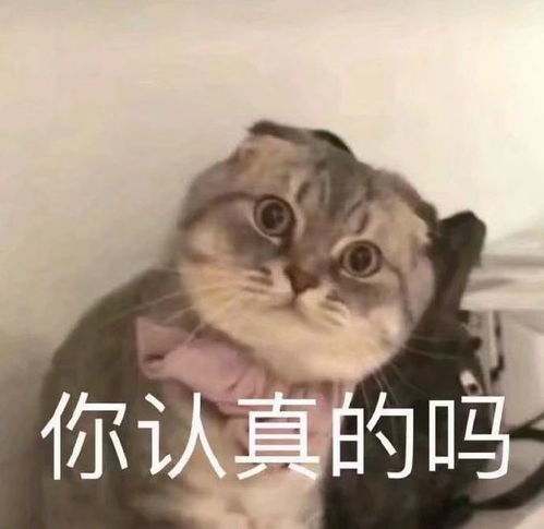 幽默笑话开车带妹子去相亲,三个红绿灯的路程,我开了半个小时