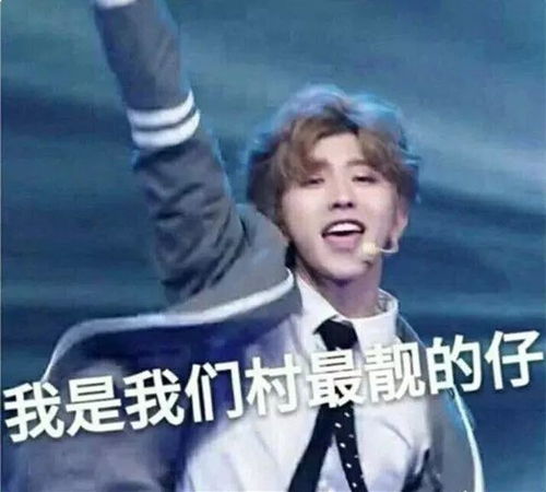 蔡徐坤搞笑鬼畜表情包彭于晏