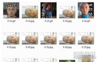 五阿哥永琪歪头搞怪表情包永琪歪头表情包完整版软件下载