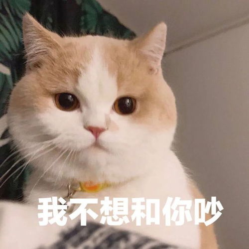 幽默搞笑表情包你知道我喜欢的是谁吗不知道的请看第一个字