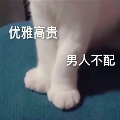 巨沙雕的巨搞笑的搞怪聊天表情大全找不到表情包来描述我的心情