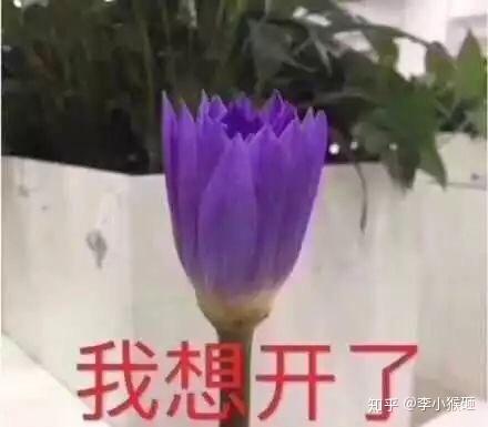 一个女生该有哪些优秀习惯