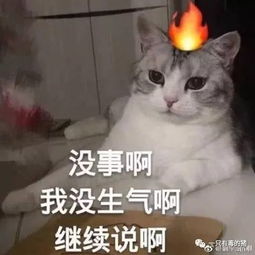 我辛辛苦苦p了仨小时的自拍,竟然被一键还原了