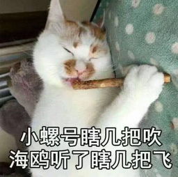 聊天专用的搞笑表情我没有不开心,真的,只是不快乐