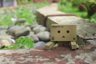寻找,好玩,danbo,行动图,绿色,搞笑,乐趣,快乐,可爱,可爱的,玩具,开朗,表情