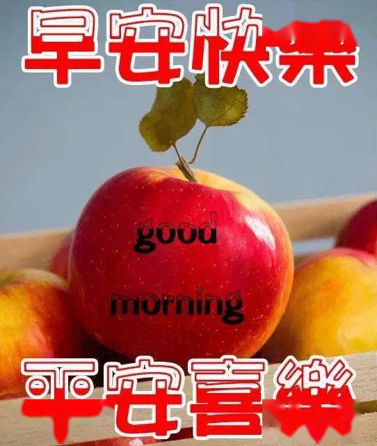 最新秋天漂亮早上好图片动态表情大全,最美早上好问候语美图表情大全