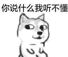 二哈头胎就生了11只,主人跟狗子都懵了,狗有生这么多