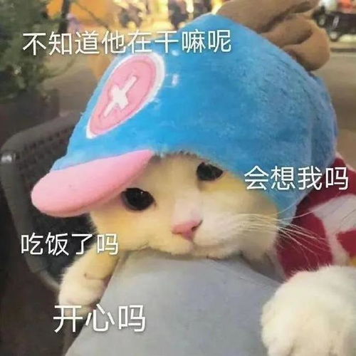 向对象撒娇的表情包陪人家啦