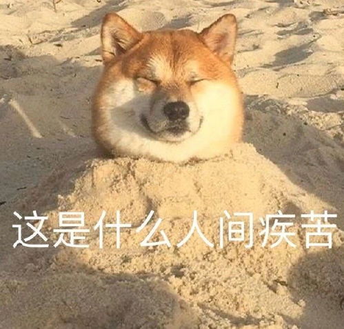 热门搞笑表情包图片且看我惬意的享受疾苦