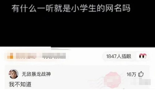 猫猫也会脱发秀逗的表情也太搞笑了吧,哈哈