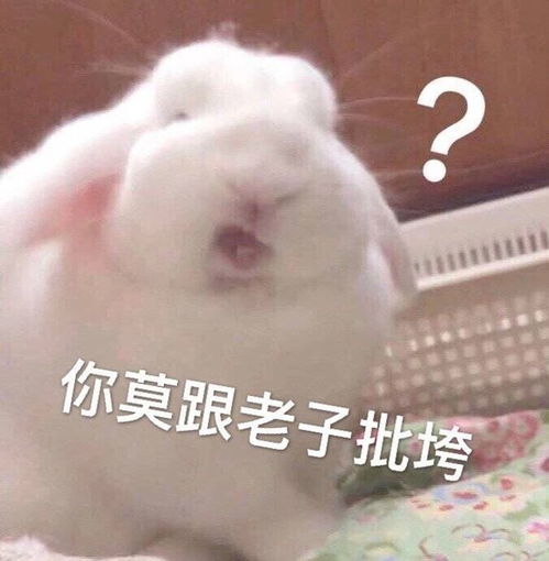 最新老司机表情包图片能不能聊点新话题