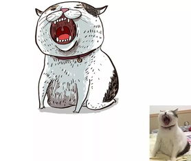 这位灵魂画手,把猫主子们都画成了超搞笑的表情包真是笑skr人