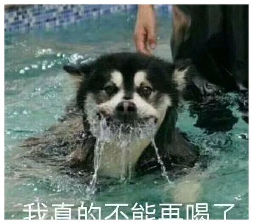 爆笑段子女同事在我这喝多了,就是不肯回去,无奈只能留她过夜