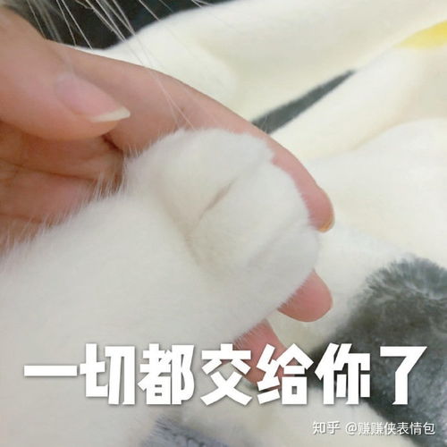 搞笑表情包图片生气了,绝交,这次不可能哄好的