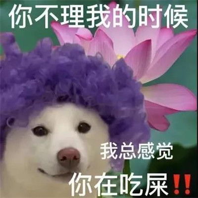 实用有趣表情包2022最新可爱超级热门的趣味聊天表情合集