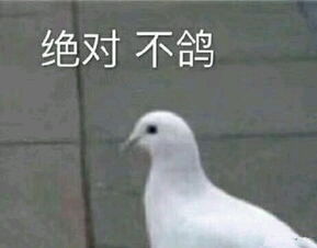 15.那些绝地求生中的枪械原型scarl