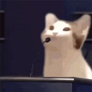 popo猫系列一